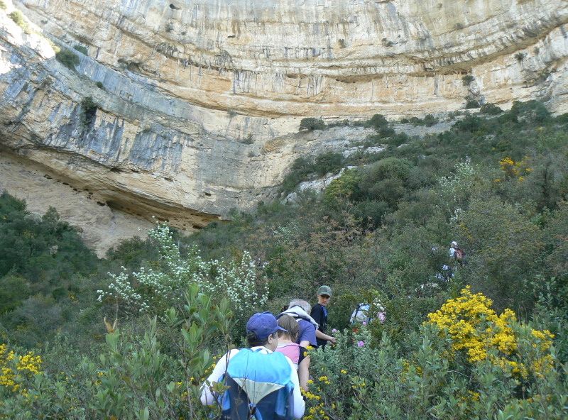 2008_0413 Minerve (21)