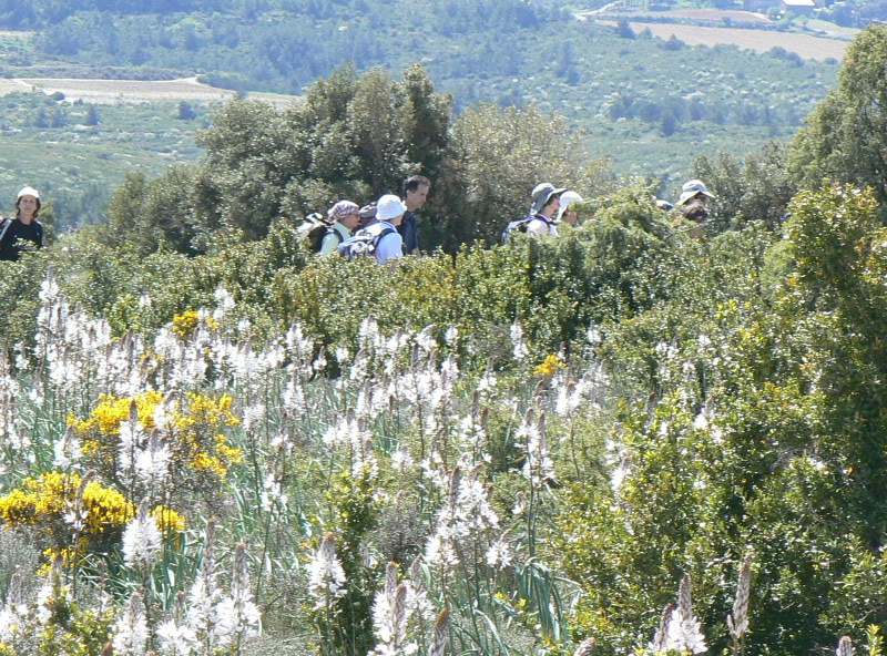 2008_0413 Minerve (35)