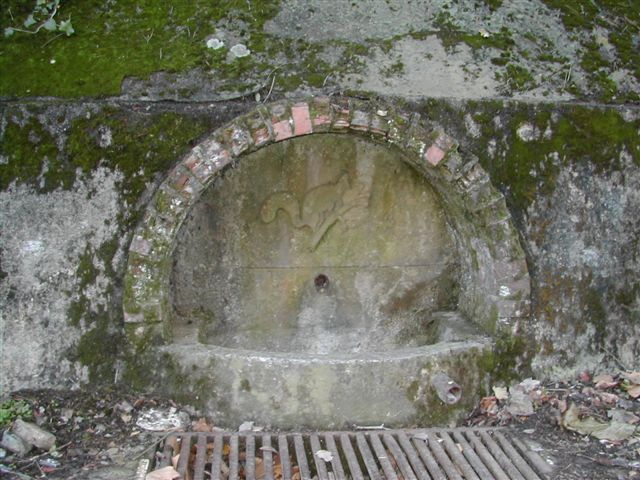 2-llauro-fontaine-ecureuil