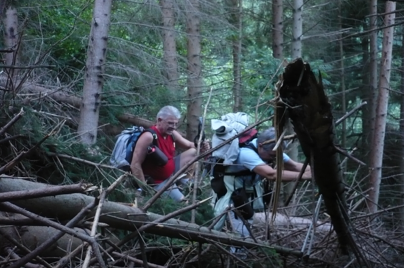 la Llau St GUILLEM 003