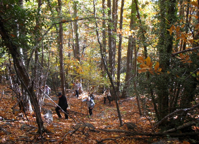 Pic Sant Cristau 002