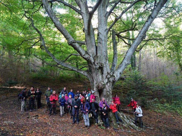 Le Fajàs d’en Baillette
