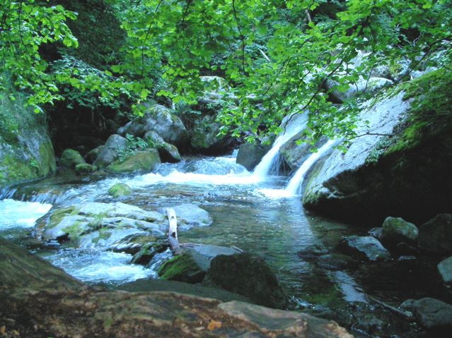 SANY0045