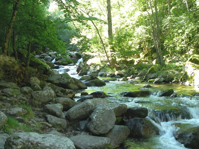 SANY0056