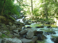 SANY0056