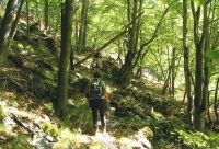 SANY00591