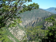 SANY00621